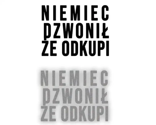 2065.webp