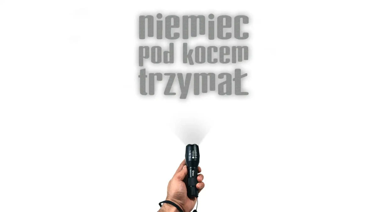 2042.webp