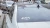 1184.webp