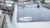 1185.webp