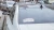1200.webp