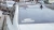 1193.webp