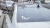 1213.webp