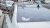 1214.webp