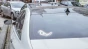 1214.webp