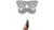 1247.webp