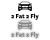 1253.webp