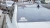 1256.webp