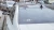 1262.webp
