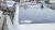 1263.webp