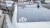 1274.webp