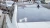 1282.webp