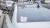 1302.webp