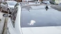 1330.webp