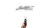 1348.webp