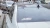1350.webp
