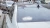 1366.webp