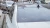 1369.webp