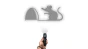 1376.webp