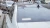 1386.webp