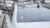 1421.webp