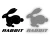 1447.webp