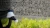 26283.webp