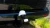 26282.webp