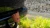 26269.webp