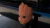 26270.webp