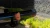 26267.webp