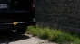 26251.webp