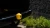 26249.webp