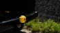 26249.webp