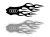 26205.webp