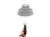 26166.webp