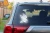 26164.webp