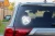 26160.webp