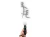 26134.webp