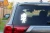 26124.webp