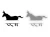 26117.webp