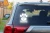 26102.webp