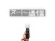 26086.webp