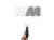 26053.webp