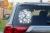 25955.webp