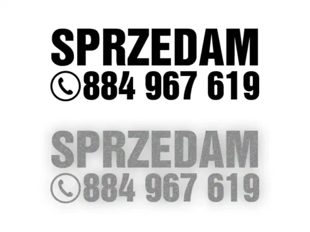 25943.webp