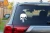 25917.webp