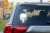 25918.webp