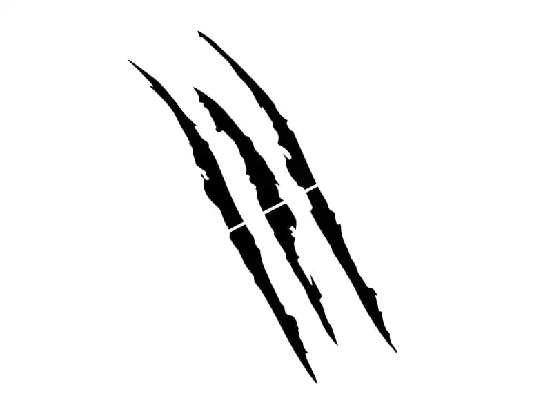 25774.webp