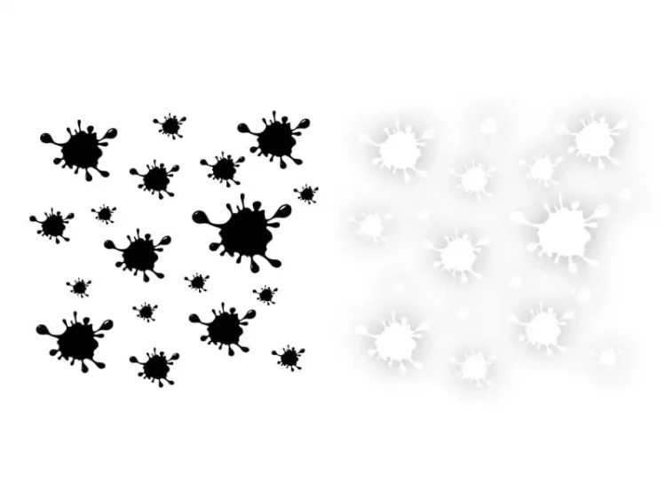 25744.webp
